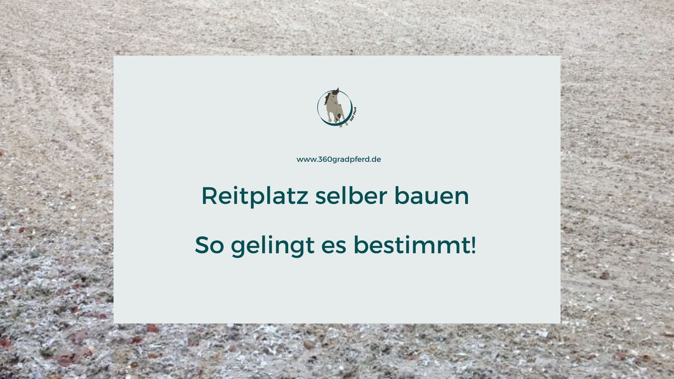 Reitplatzbau So Gelingt Es Pferd