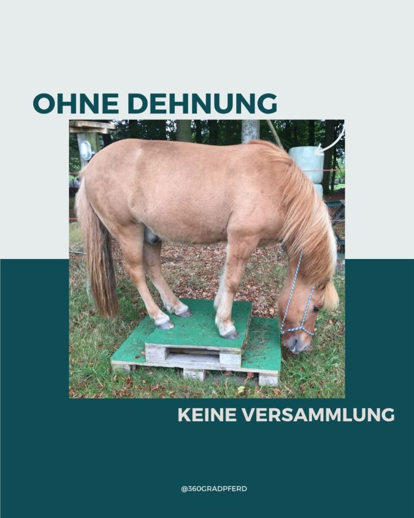 Ohne Dehnung keine Versammlung
