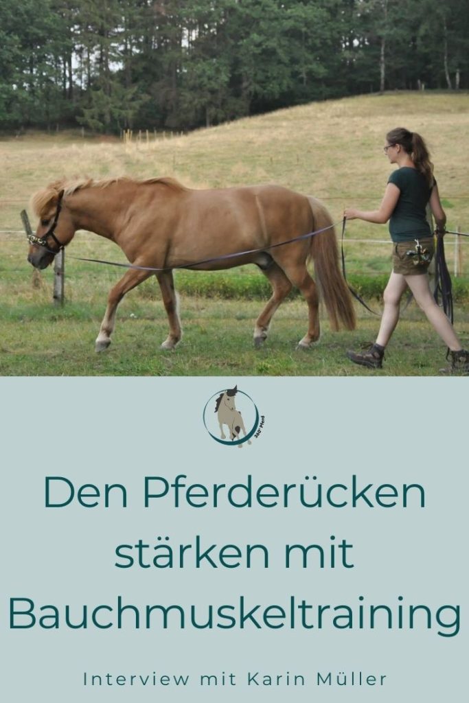 Starker Pferderücken mit Bauchmuskeltraining