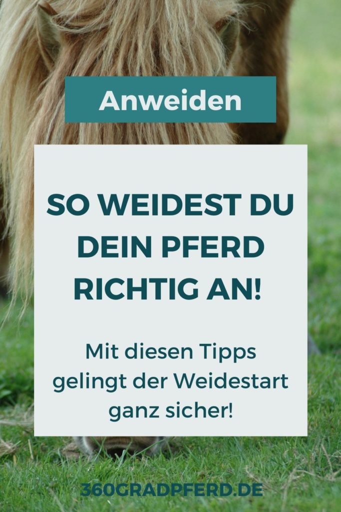 Tipps Pferd anweiden