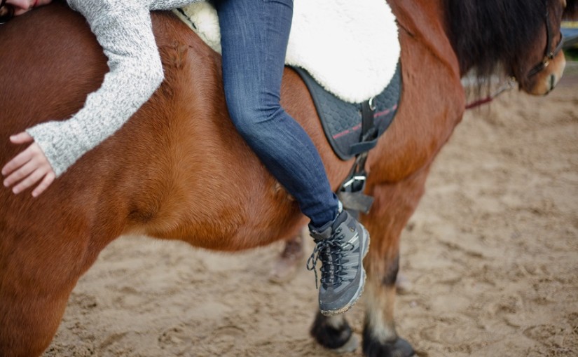 Therapeutisches Reiten: eine ganzheitliche Therapie | 360° Pferd