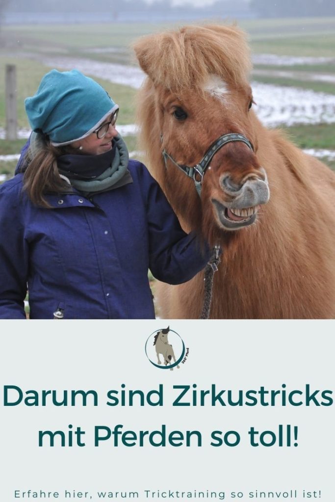 Zirkustricks mit Pferden als sinnvolle Ergänzung des Trainings