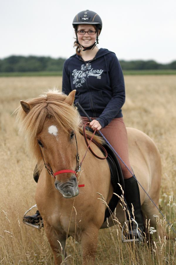Islandpferd mit selbstgemachter Biothanetrense