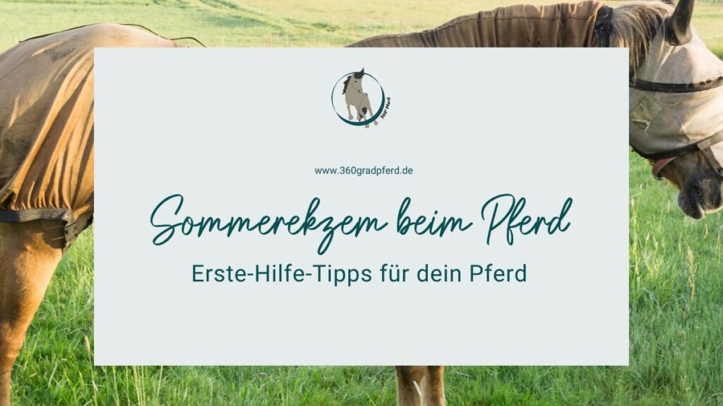 Sommerekzem beim Pferd Tipps