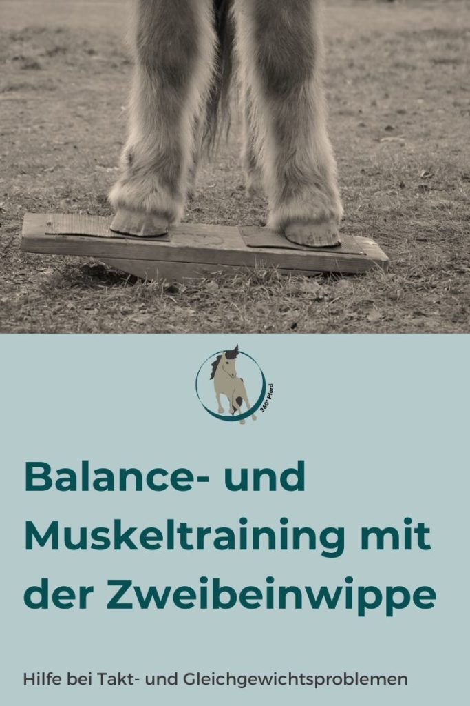 Die Zweibeinwippe hilft bei Takt und Balanceproblemen