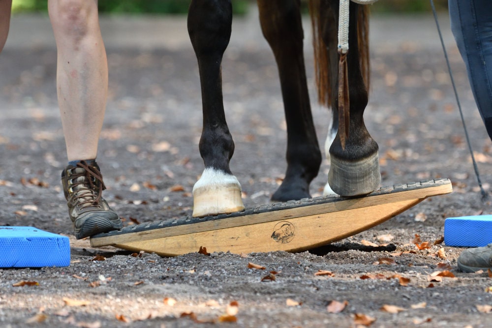 Zweibeinwippe unterlagert mit Balance Pads