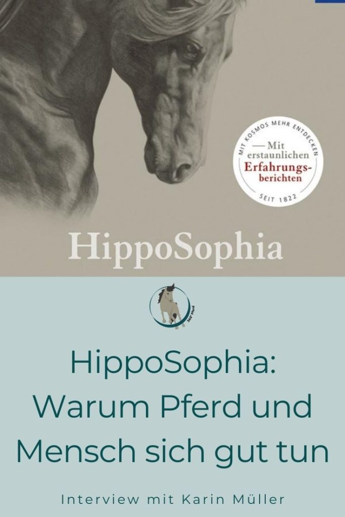 Hipposophia Warum Pferd und Mensch sich gut tun