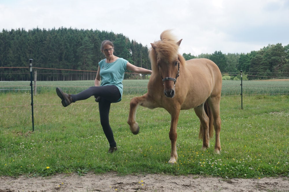 Spanischer Schritt mit Pferd