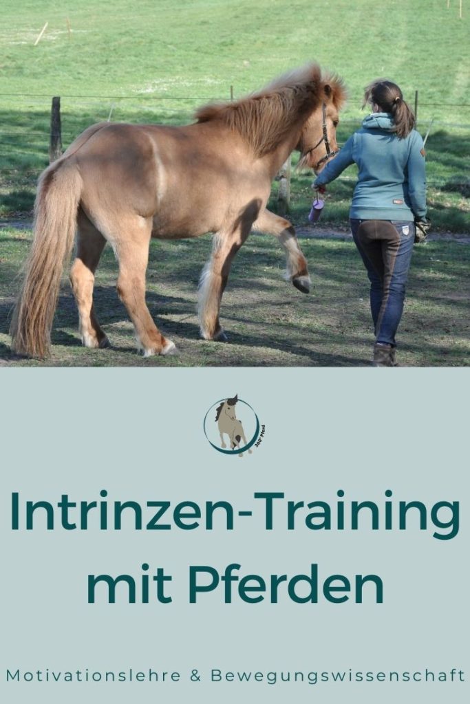 Intrinzentraining mit Pferden