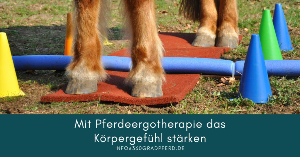 Mit Pferdeergotherapie das propriozeptive System verbessern und das Körpergefühl stärken
