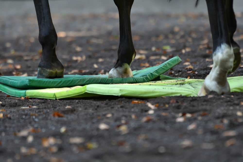 Pferdetrainging mit instabilem Boden - Plufsig Turnmatte als Alternative zu Balance Pads