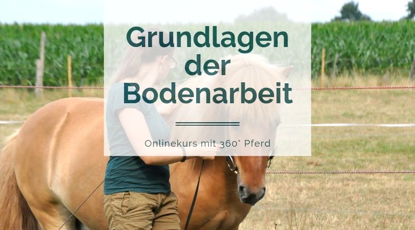 Onlinekurs Grundlagen der Bodenarbeit