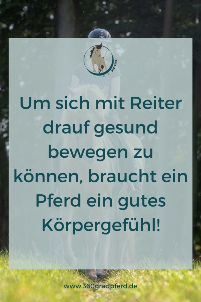 Gutes Körpergefühl Pferd