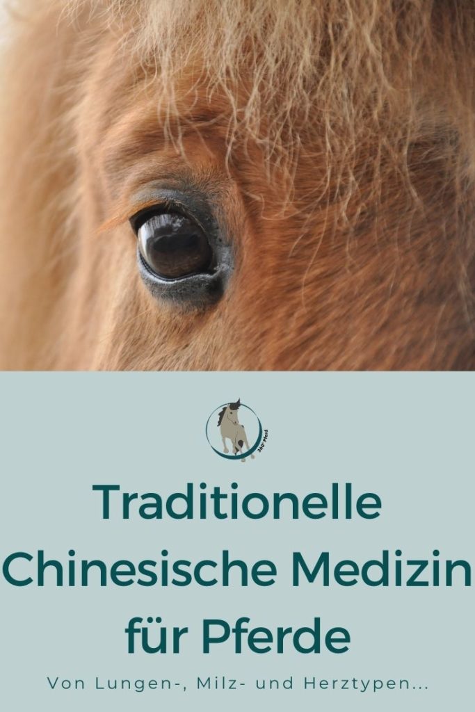 Traditionelle Chinesische Medizin für Pferde