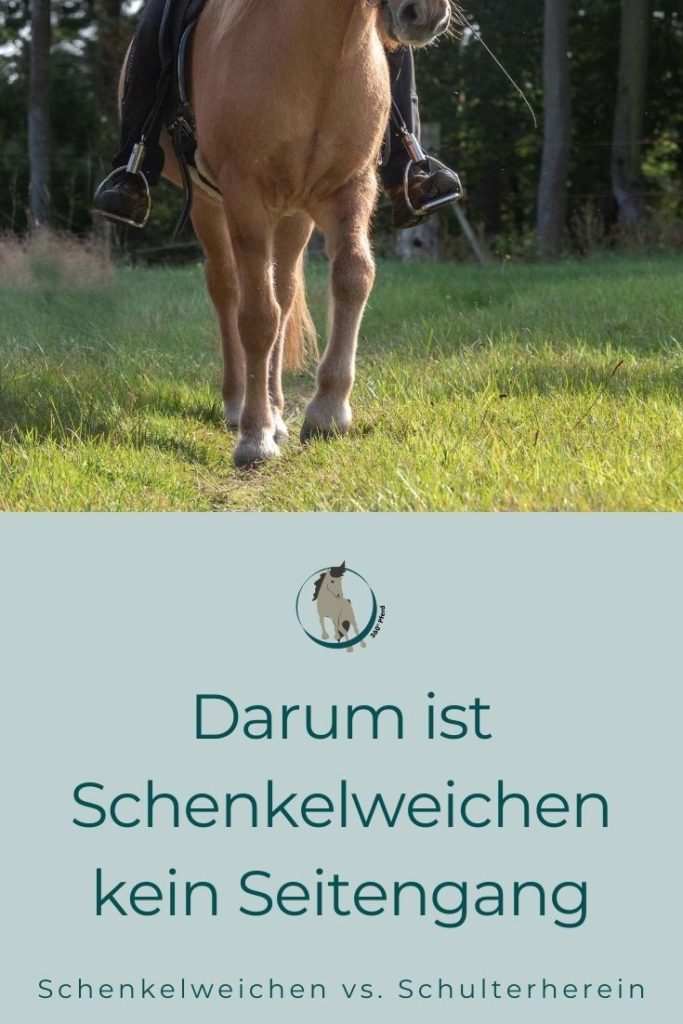Schenkelweichen und Schulterherein