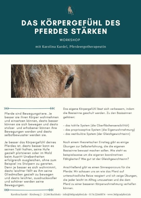 Workshopflyer-Das-Körpergefühl-stärken