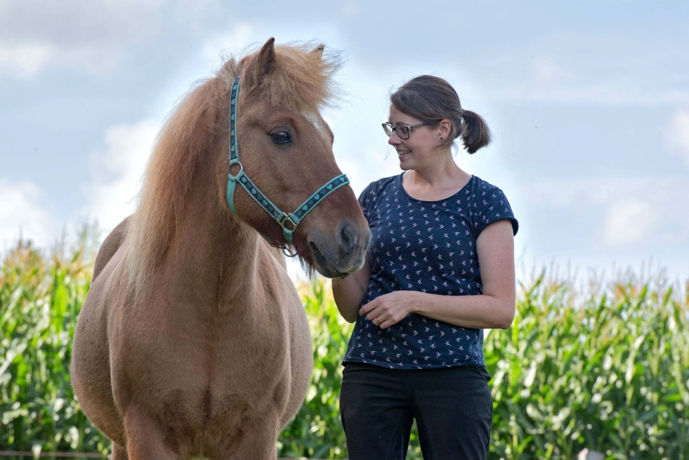 Gesunderhaltendes Pferdetraining und Pferdeergotherapie mit 360° Pferd