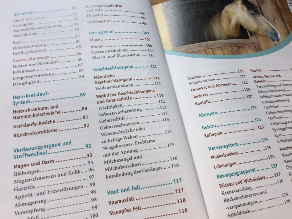 Inhalt des Buches Heilströmen für Pferde