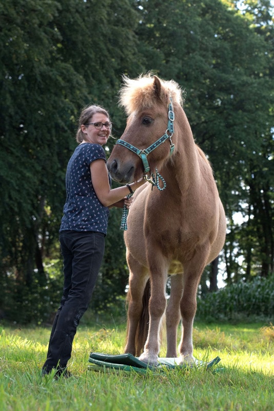 Karolina Kardel 360° Pferd