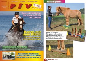 Pferde im Visier Pferdeergotherapie