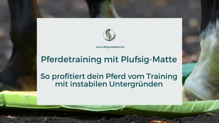 Pferdetraining mit Plufsig-Matte Wirkung instabiler Untergründe