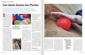 RM-Mai-2019-Taktile-System