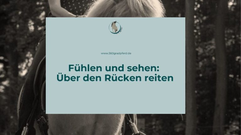 Fühlen und Sehen über den Rücken reiten