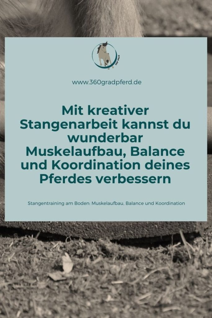 Mit kreativer Stangenarbeit kannst du Muskelaufbau, Balance und Koordination deines Pferdes verbessern