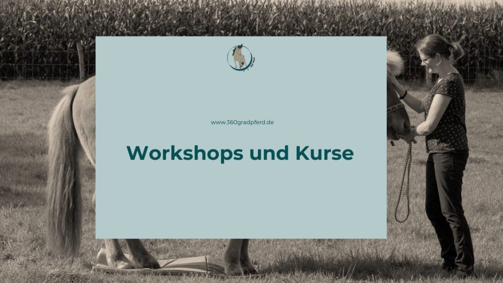 Workshops und Kurse mit 360° Pferd