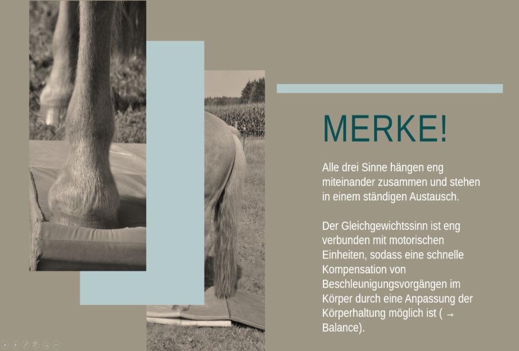 Einblick Onlinekurs Mehr Balance mit kreativer Bodenarbeit