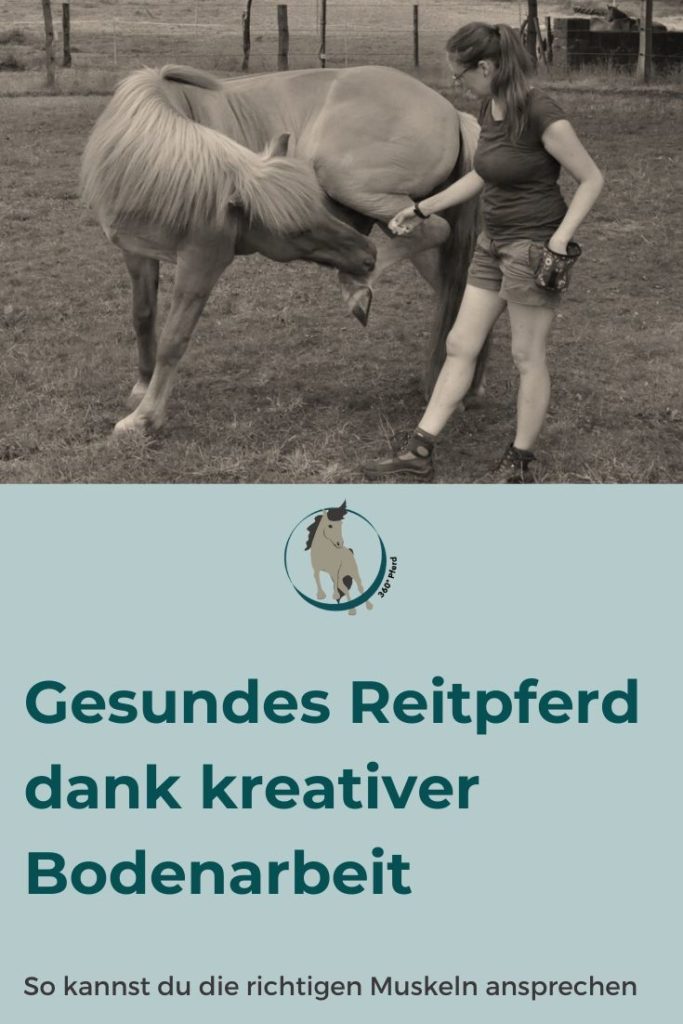 Mit kreativer Bodenarbeit kannst du die tiefen Muskeln deines Pferdes ansprechen, die vor allem eine Stütz- und Haltefunktion haben und die Wirbelsäule stabilisieren