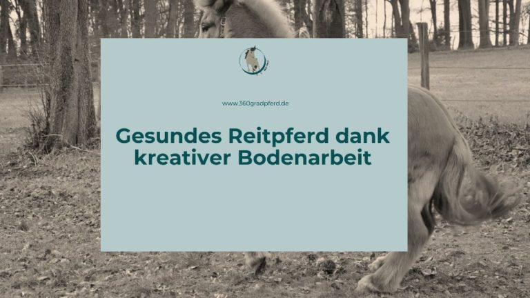 Mit kreativer Bodenarbeit die Tiefenmuskulatur stärken und den Rumpf stabilisieren