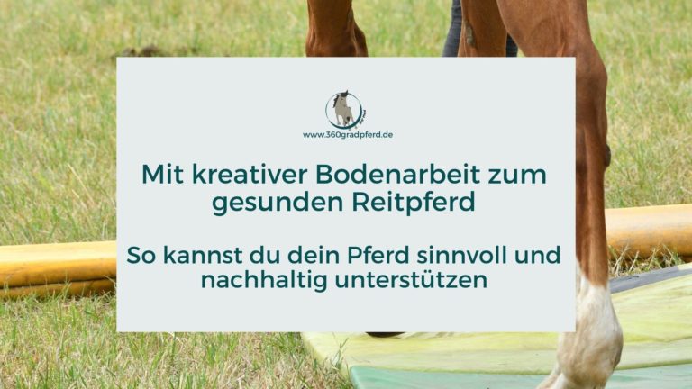 Mit kreativer Bodenarbeit zum gesunden Reitpferd