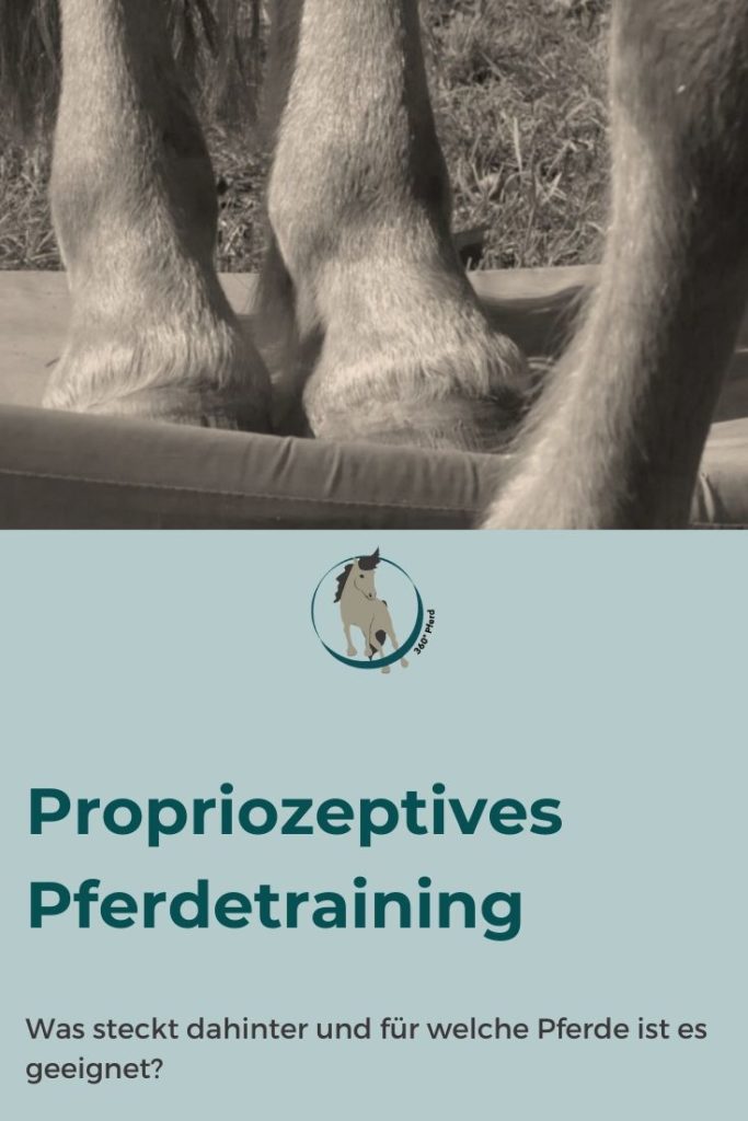 Propriozeptives Pferdetraining: Was steckt dahinter und warum ist so effektiv und sinnvoll?
