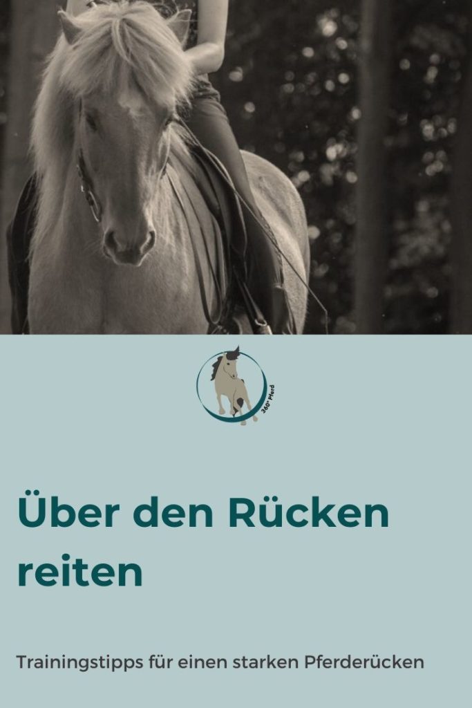 Über den Rücken reiten: Was bedeutet das? Plus Trainingstipps für das Rückentraining