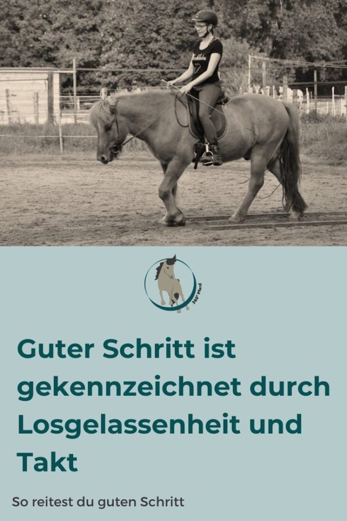 Gut gerittener Schritt ist gekennzeichnet durch Losgelassenheit und Takt