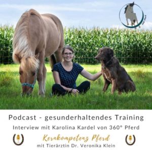 Podcastinterview Kernkompetenz Pferd Bodenarbeit