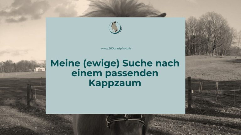 Die Suche nach einem passenden Kappzaum