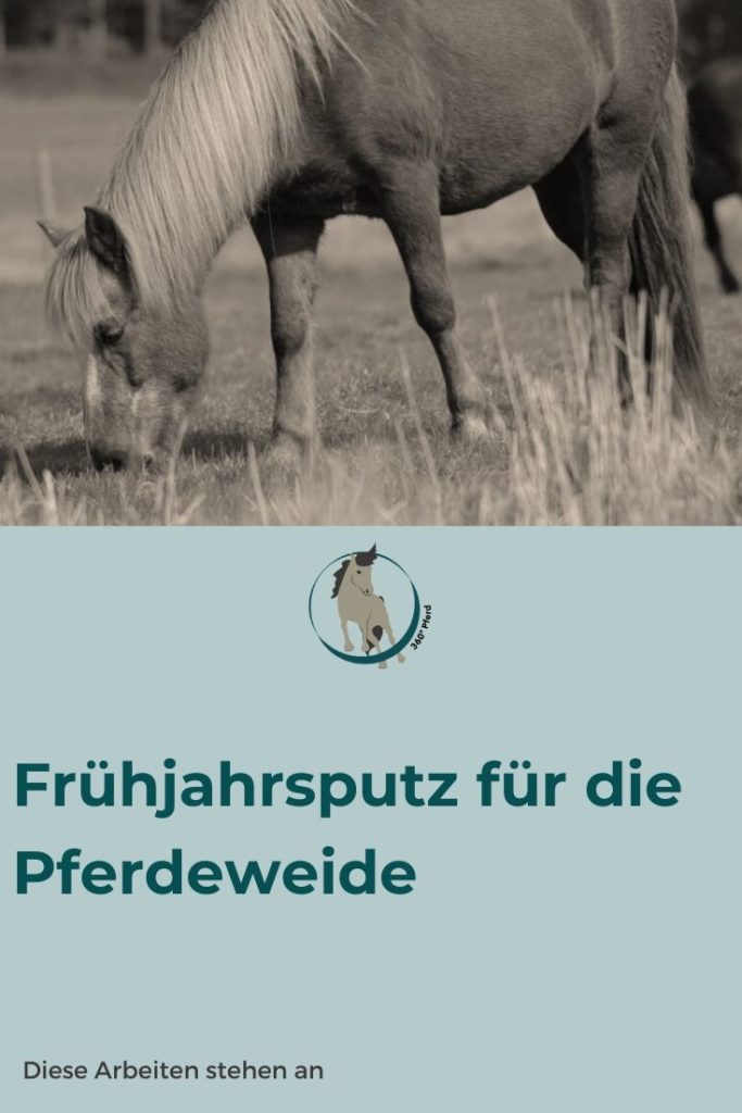 Frühjahrsputz für die Pferdeweide