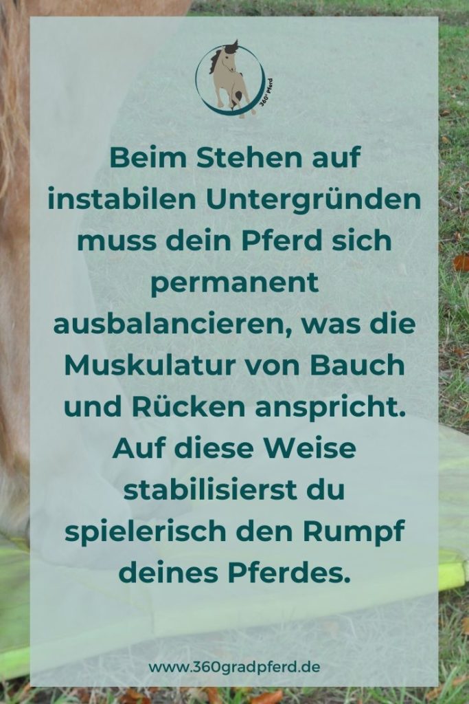 Mit instabilen Untergründen lässt sich die Rumpfmuskulatur des Pferdes spielerisch stärken