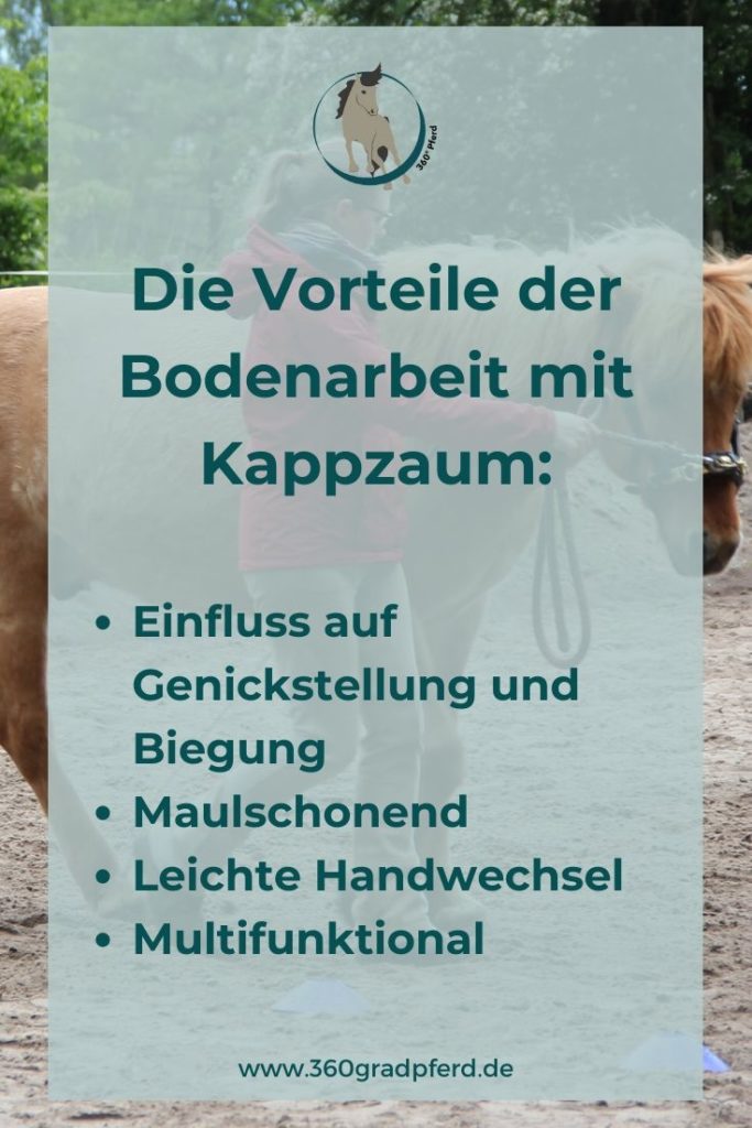 Mit einem Kappzaum hast du bei der Bodenarbeit jede Menge Vorteile: Du kannst maulschonend auf dein Pferd einwirken, Stellung und Biegung beeinflussen und spielend leicht Handwechsel vornehmen