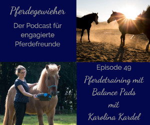 Podcastinterview Pferdegewieher Balance Pads