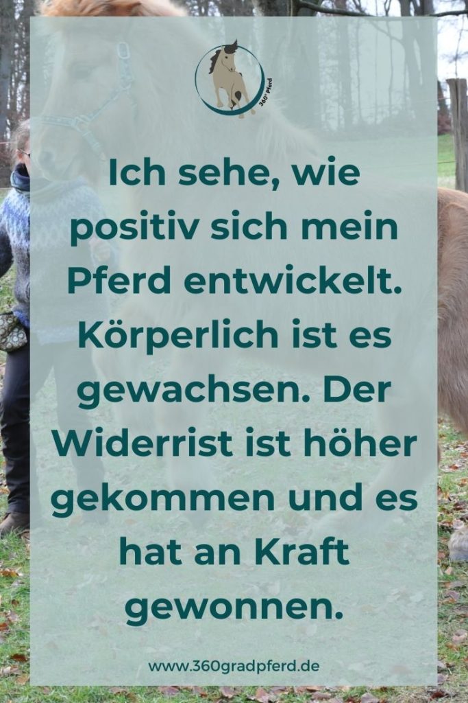 Die positive Entwicklung des Pferdes ist deutlich zu sehen