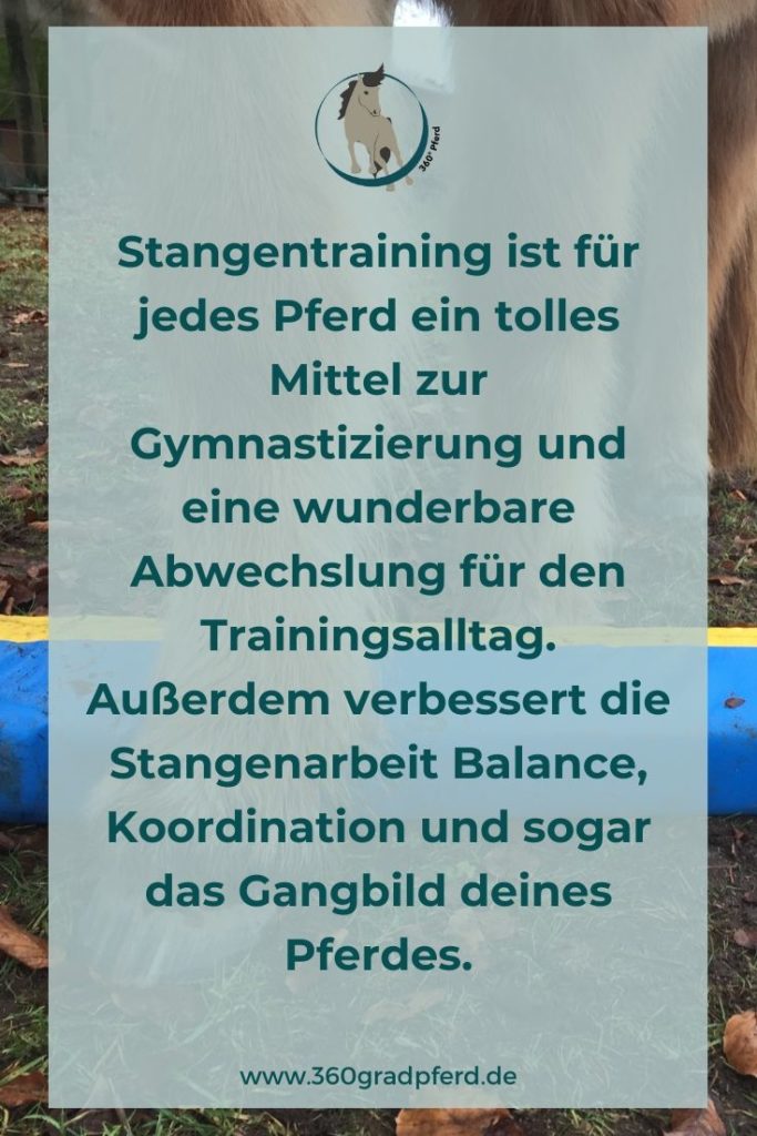 Stangentraining hilft deinem Pferd dabei, seine Koordination zu verbessern
