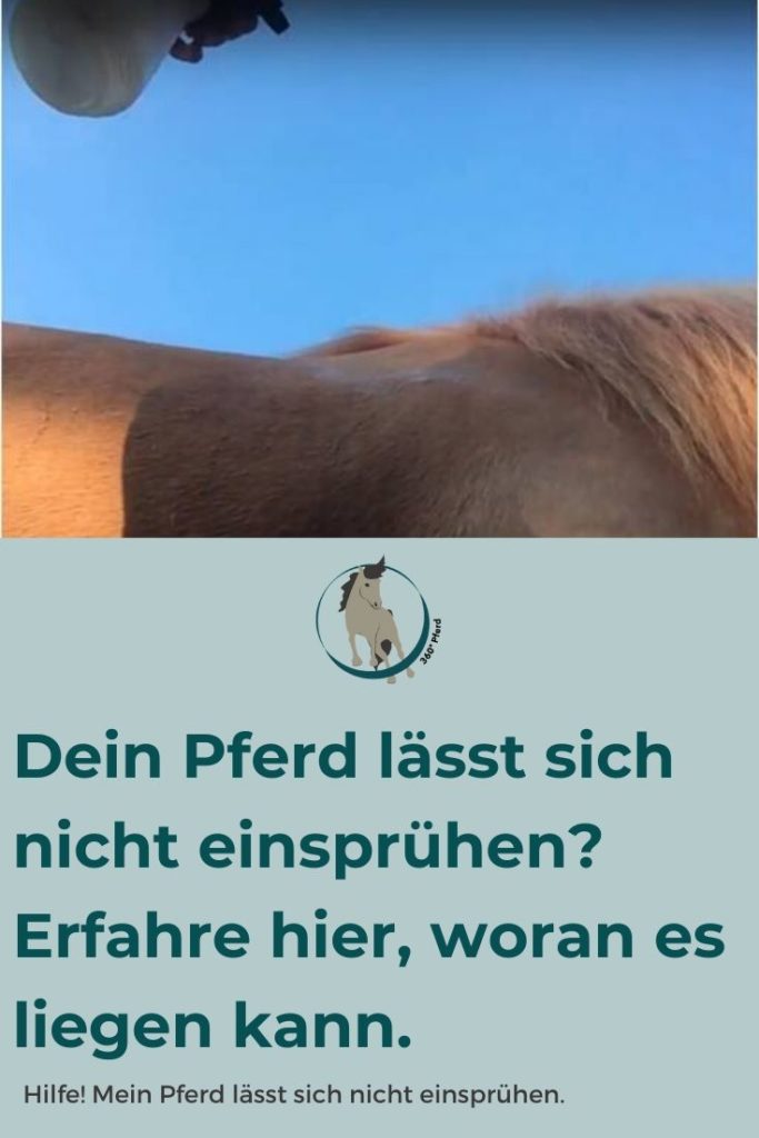 Wenn Pferde sich nicht einsprühen lassen, liegt manchmal auch ein Problem bei der Reizverarbeitung vor