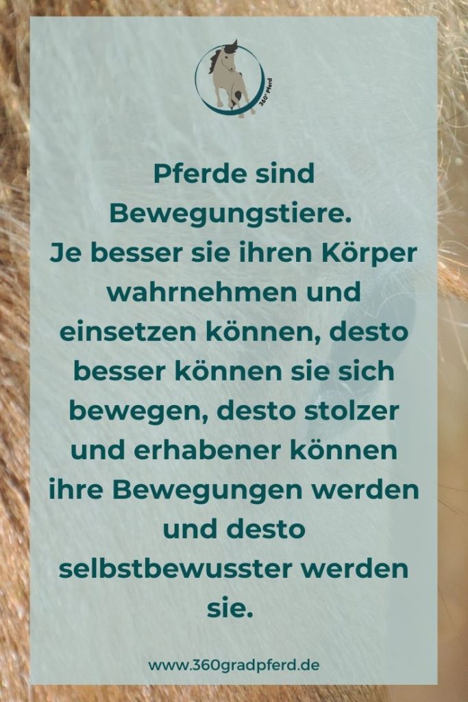 Je besser Pferde ihren eigenen Körper wahrnehmen, desto besser können sie sich auch bewegen