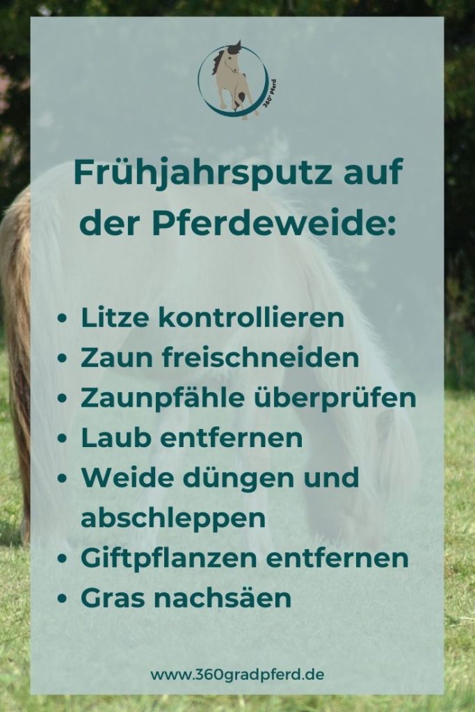 So machst du deine Wiese fit für die neue Weidesaison