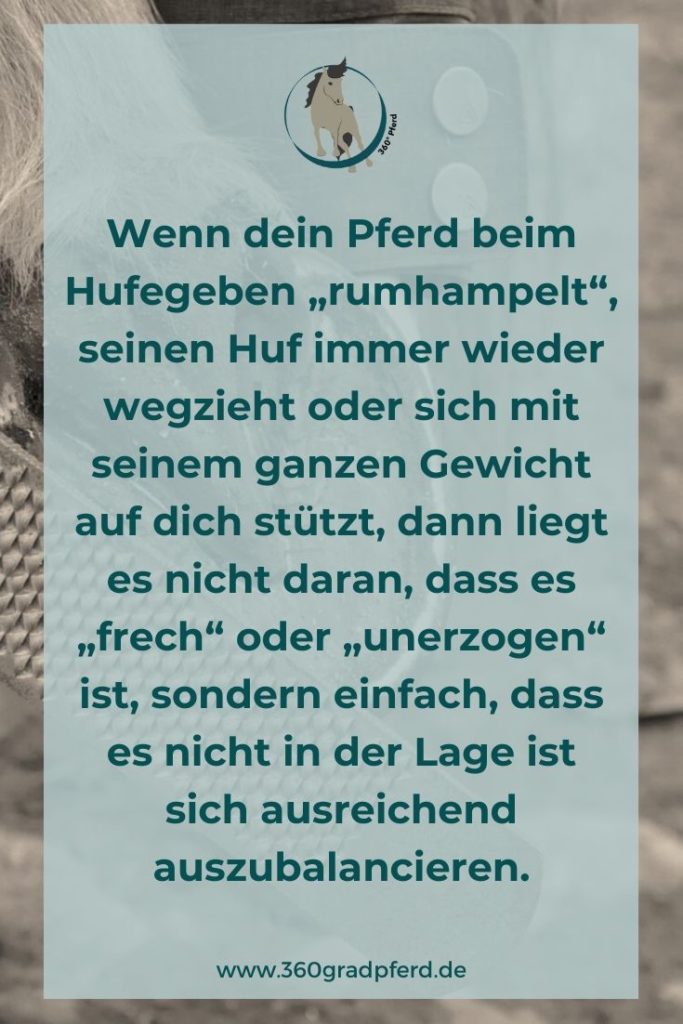 Probleme beim Hufegeben lösen