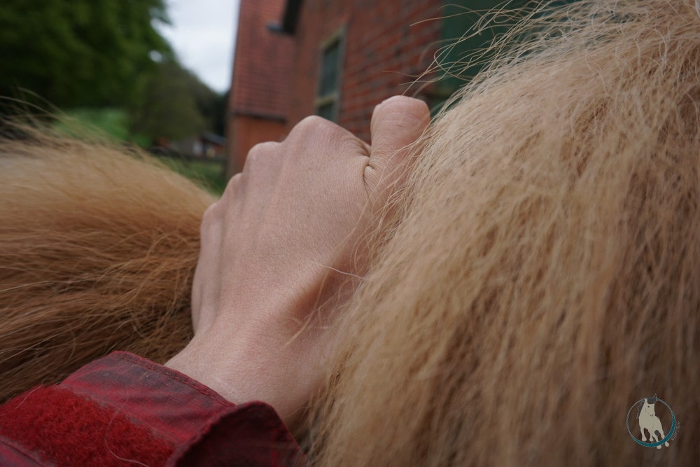 Drückungen am Mähnenkamm als Massagetechnik fürs Pferd