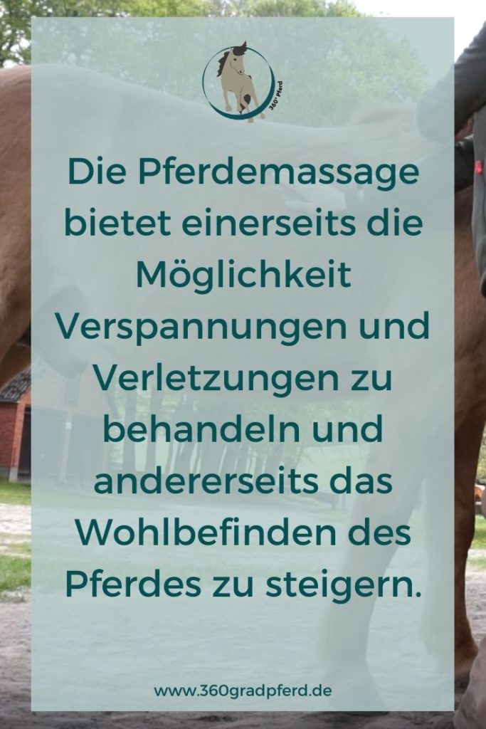 Gute Gründe für die Pferdemassage